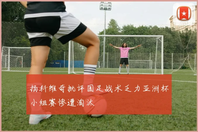 扬科维奇批评国足战术乏力亚洲杯小组赛惨遭淘汰