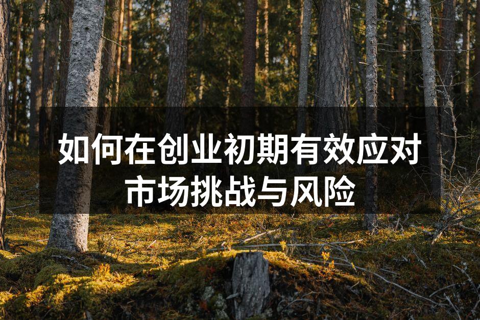 如何在创业初期有效应对市场挑战与风险