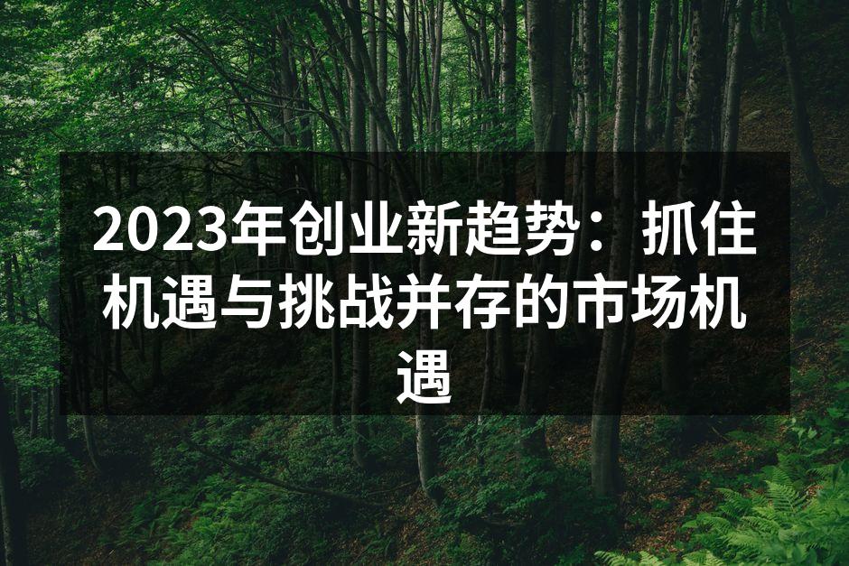 2023年创业新趋势：抓住机遇与挑战并存的市场机遇